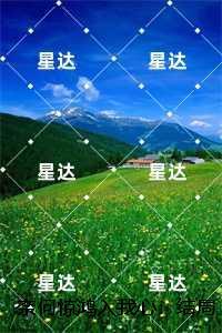 江疏桐段知许